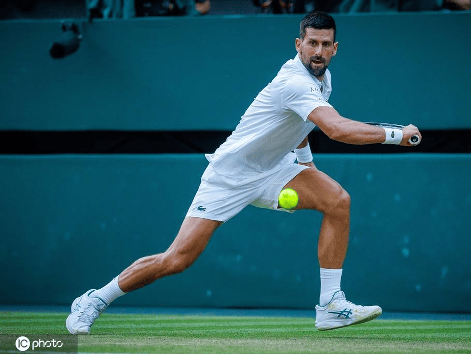 世界杯2026-戴维斯杯横扫澳网,德约科维奇刷新纪录 第2张 世界杯2026-戴维斯杯横扫澳网,德约科维奇刷新纪录 第2张